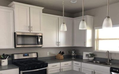 What Color Cabinets go with Agreeable Gray Walls – 10 Best Options