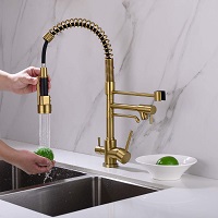 Delle Rosa Kitchen Faucet, 3 Way Drinking Water Faucet, 3 in 1 Water Purifier Faucets, High Arc and Dual Handles Commercial Kitchen Faucet Brushed Gold