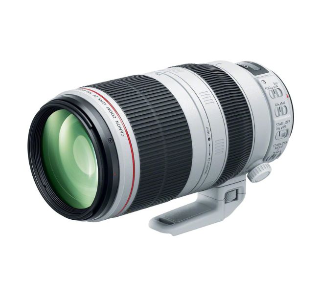 Canon EF 100-400mm f/4.5-5.6L is II USM Lens ideal for sports and wildlife photography