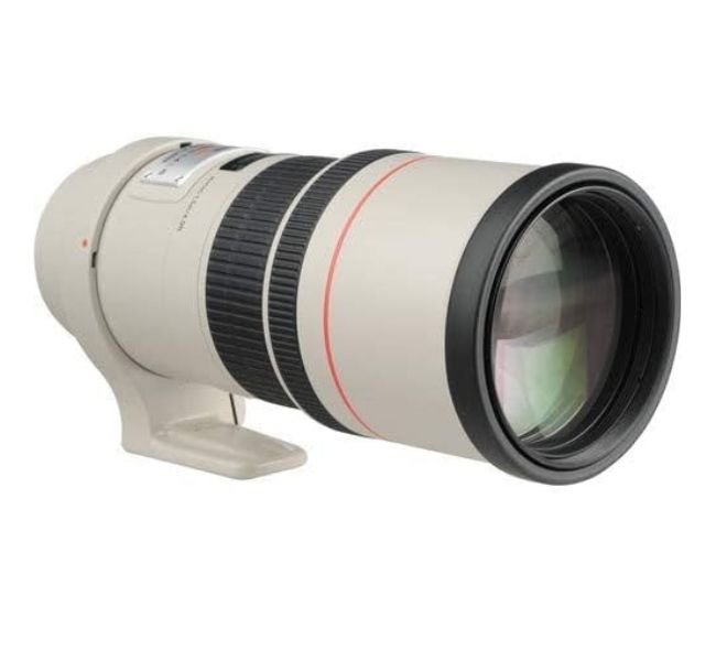 Canon EF 300mm f/4L is USM