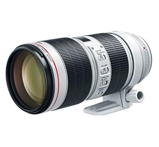 Canon EF 70-200mm f/2.8L IS III USM Lens for Canon Digital SLR Cameras (for telephoto lens)